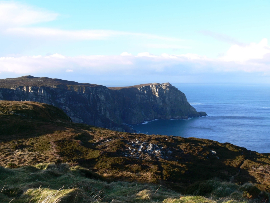 Horn Head's cliffs are home to breeding seabirds including the European Shag and Razorbill.
